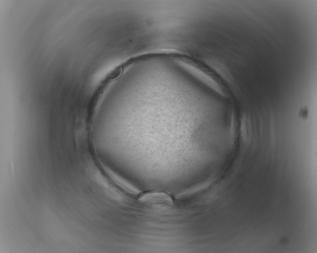 X0000110941452200907022122