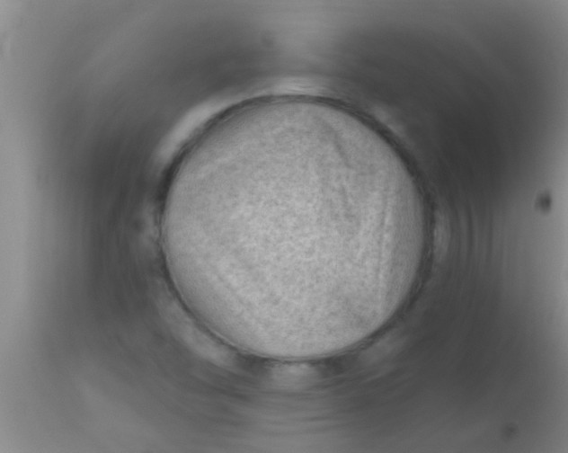 X0000110941454200907022122