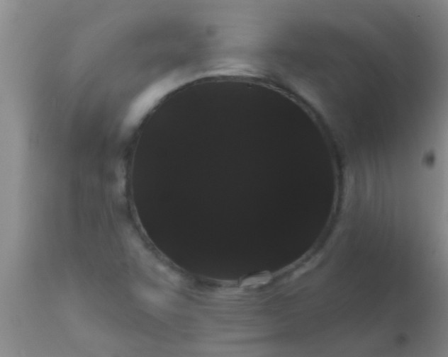 X0000110941455200907022122