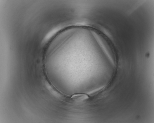 X0000110941456200907022122