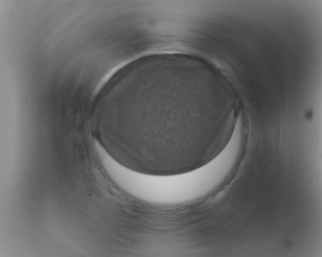 X0000110941457200907022122