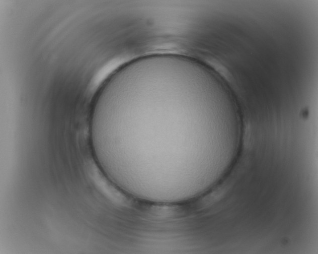 X0000110941458200907022122