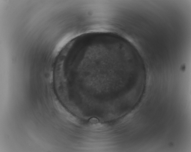 X0000110941459200907022122