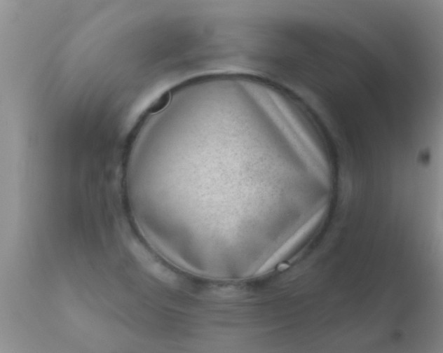 X0000110941460200907022122