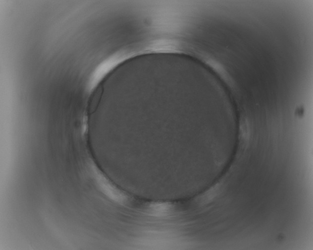 X0000110941461200907022122