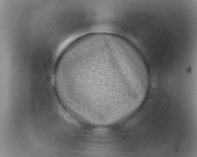 X0000110941462200907022122