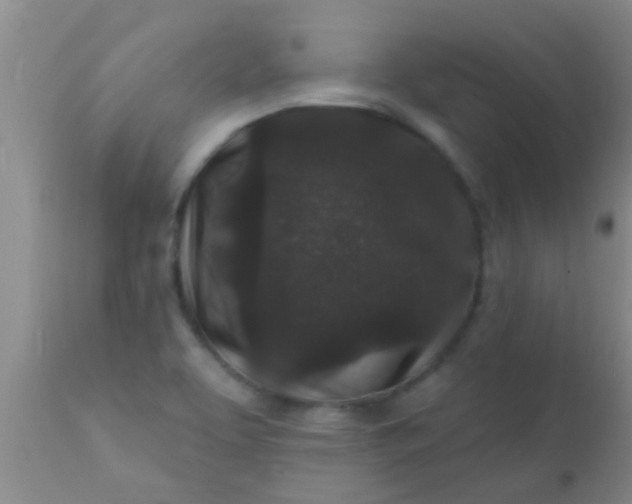 X0000110941463200907022122