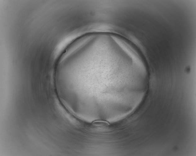 X0000110941464200907022122