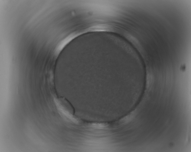 X0000110941465200907022122