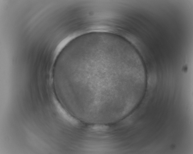 X0000110941466200907022122