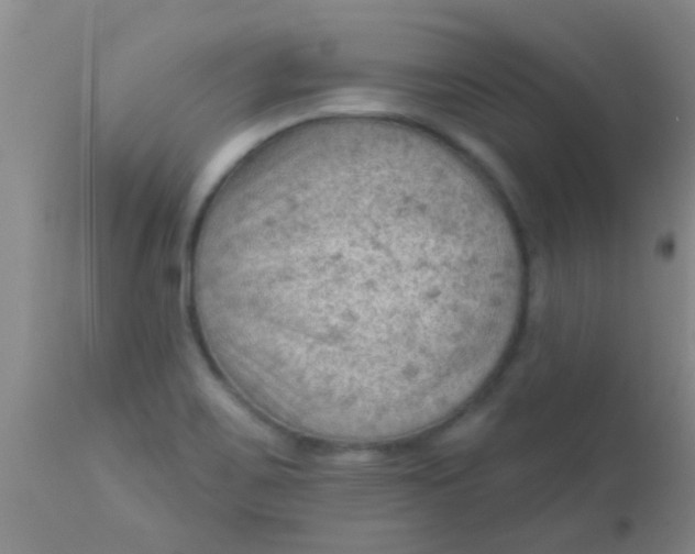 X0000110941467200907022122