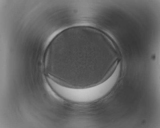 X0000110941468200907022122