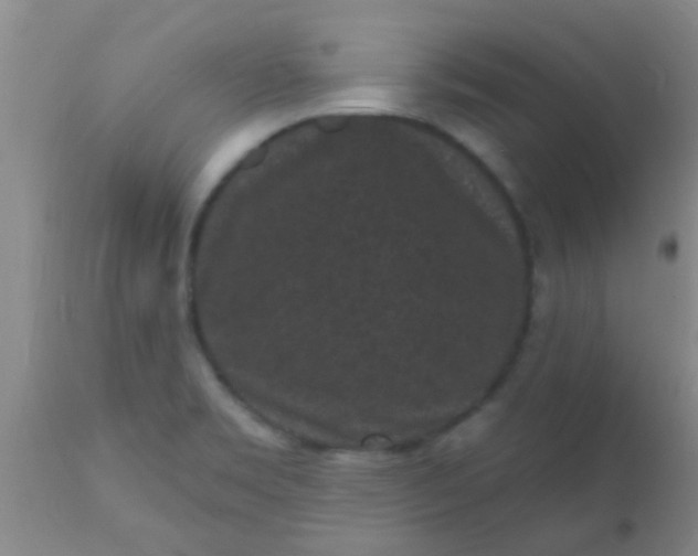 X0000110941469200907022122