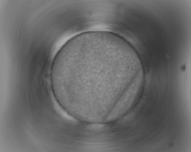 X0000110941470200907022122