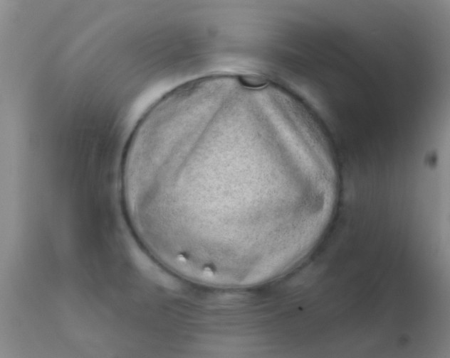 X0000110941471200907022122