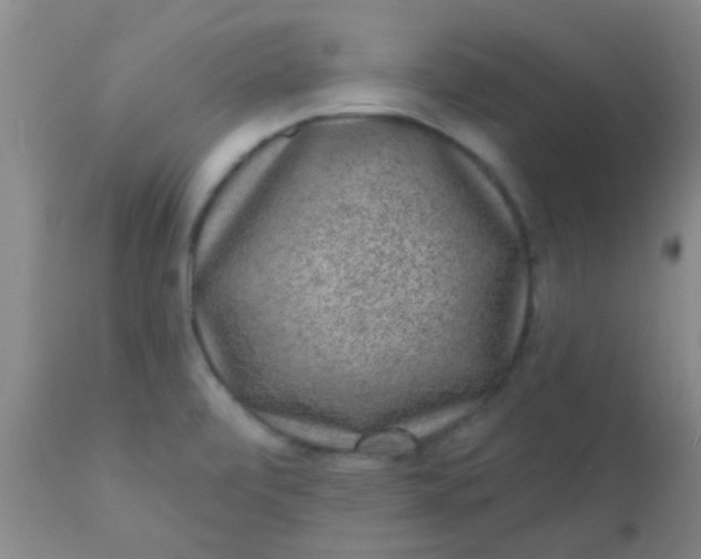 X0000110941472200907022122