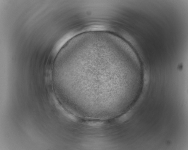 X0000110941473200907022122