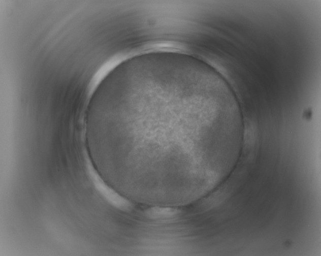 X0000110941474200907022122