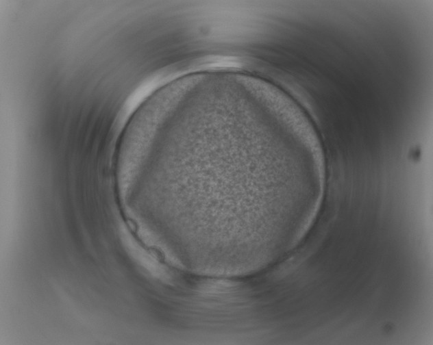 X0000110941475200907022122