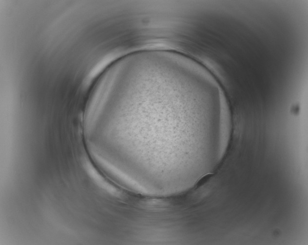 X0000110941476200907022122