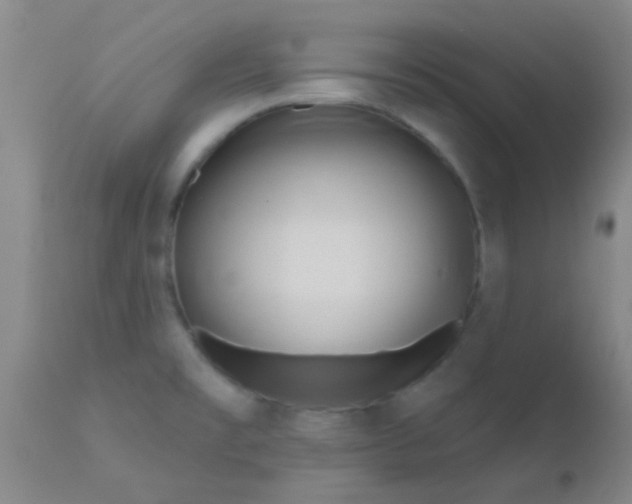 X0000110941477200907022122