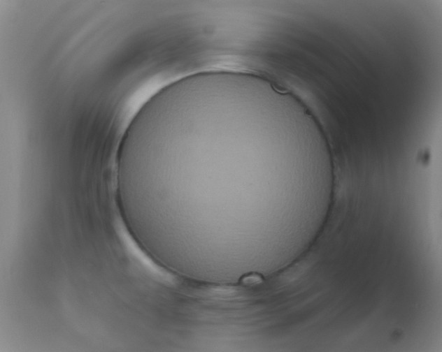 X0000110941479200907022122