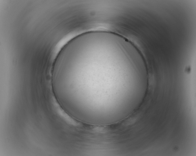 X0000110941480200907022122