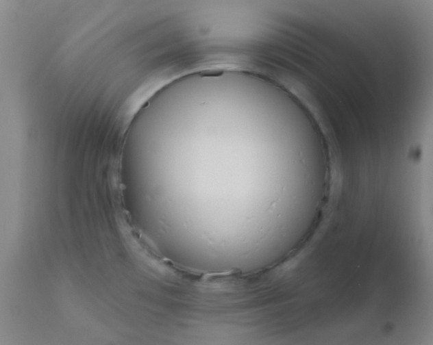 X0000110941481200907022122