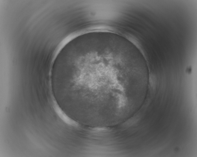 X0000110941482200907022122