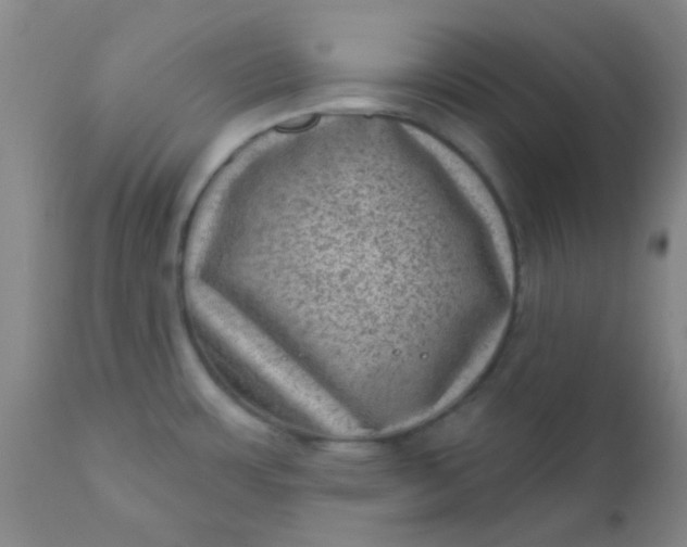 X0000110941483200907022122