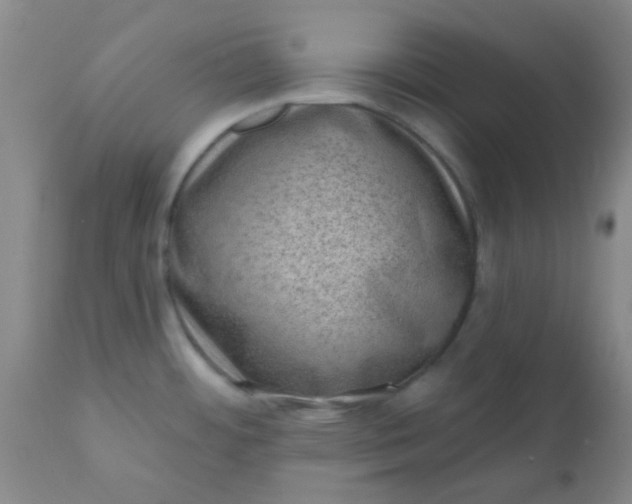 X0000110941484200907022122