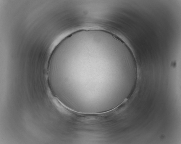 X0000110941485200907022122