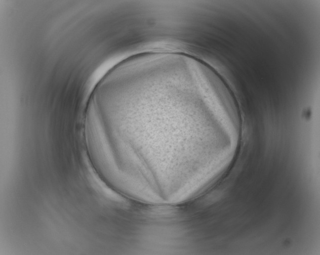 X0000110941486200907022122