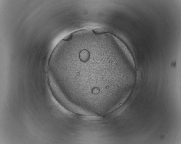 X0000110941487200907022122