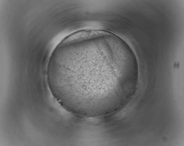 X0000110941488200907022122