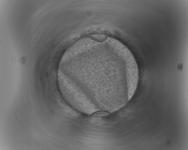 X0000110941489200907022121