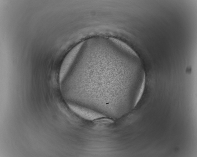 X0000110941490200907022121