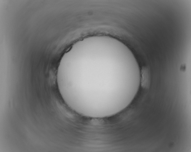 X0000110941491200907022121