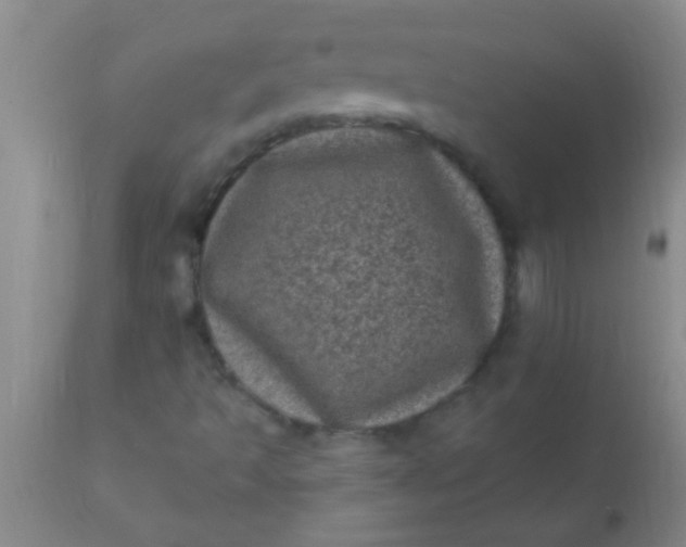 X0000110941493200907022121