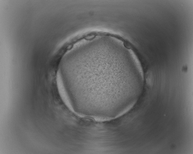 X0000110941495200907022121