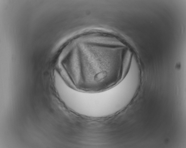 X0000110941496200907022121