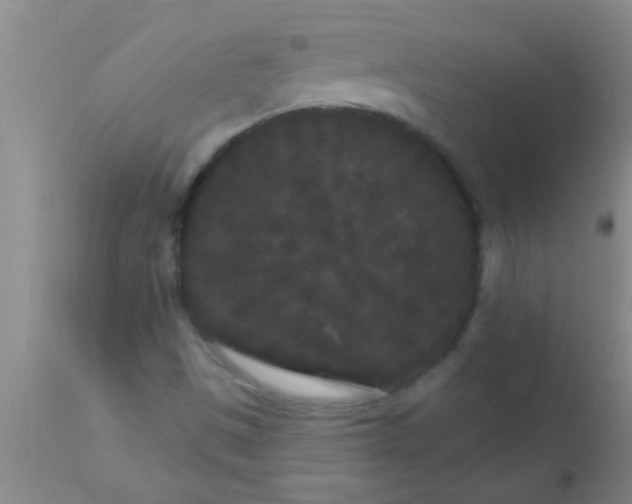 X0000110941497200907022121