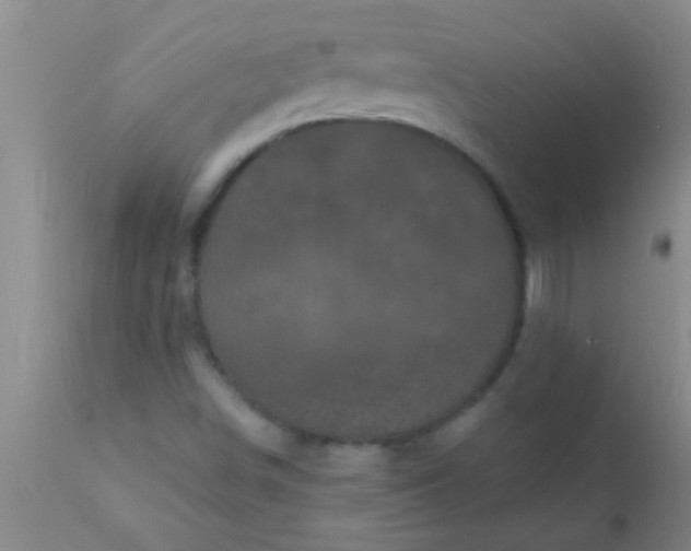 X0000110941498200907022121