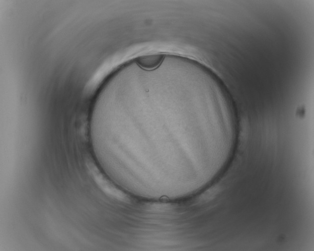 X0000110941499200907022121