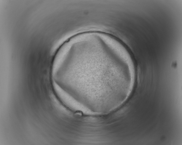 X0000110941500200907022121