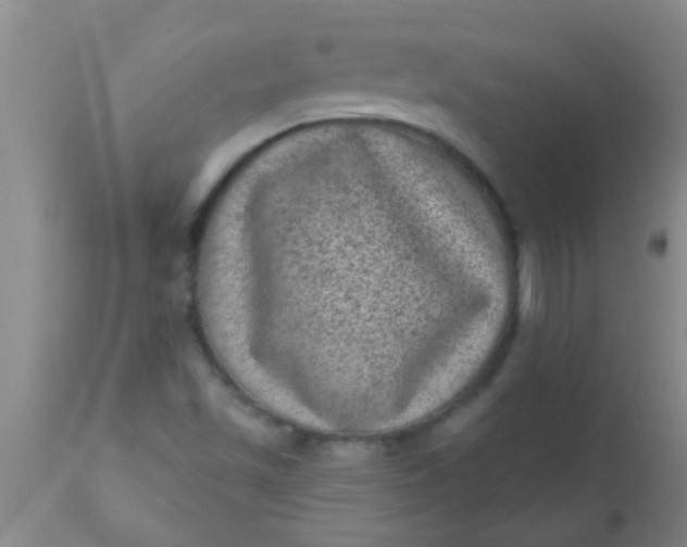 X0000110941501200907022121