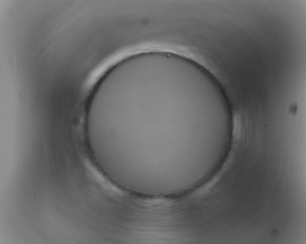 X0000110941502200907022121