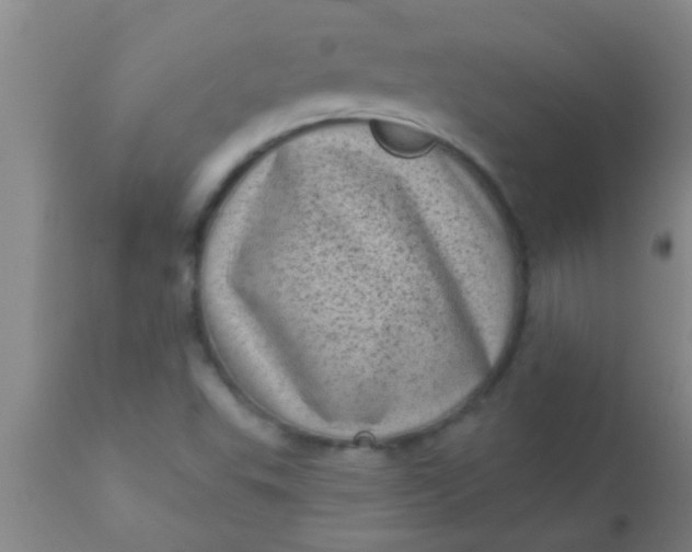 X0000110941503200907022121