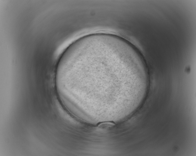 X0000110941504200907022121