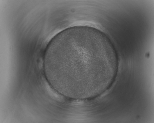 X0000110941505200907022121